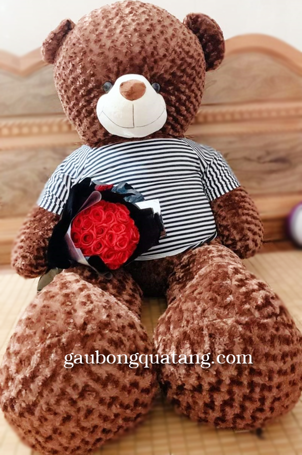 gau-bong-teddy-1m8-gia-re